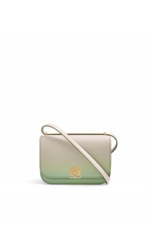 Bolsa De Hombro Loewe Small Goya bag in degrade silk calfskin Mujer Verde Menta | 145KEBRLI