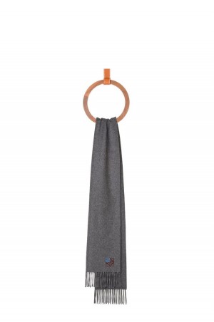 Bufandas Loewe Anagram scarf in cashmere Mujer Gris | 594DQWCVX