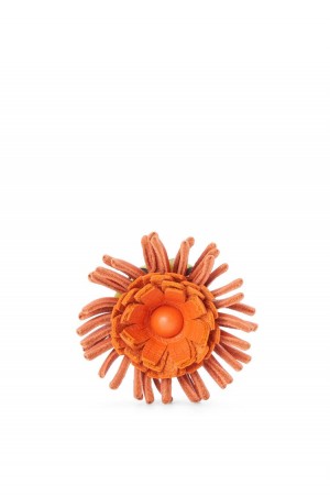 Charms Loewe Cactus stud flower in classic calfskin Mujer Verde Coral | 469OXMULJ