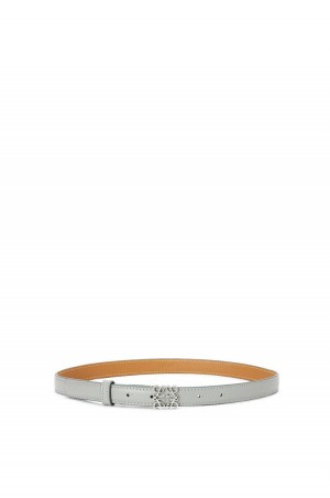 Cinturones Loewe Goya Anagram belt in smooth calfskin Mujer Gris | 243EVACFI