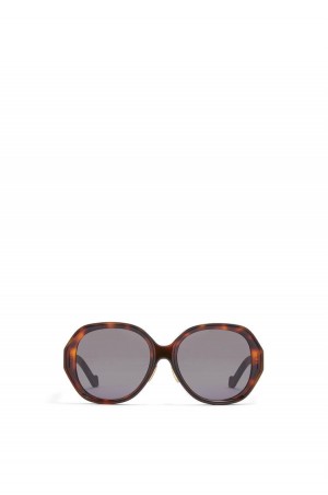 Gafas de Sol Loewe Elipse sunglasses in acetate Mujer Shiny Classic Havana | 497GEZIMV