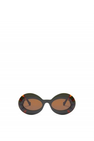 Gafas de Sol Loewe Oversized oval sunglasses in acetate Mujer Kakhi / Havana | 701VJXILR