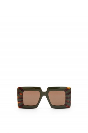 Gafas de Sol Loewe Oversized square sunglasses in acetate Mujer Kakhi / Havana | 283XQMYVR