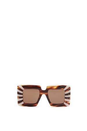 Gafas de Sol Loewe Oversized square sunglasses in acetate Mujer Havana / Cotton Candy | 208CVWSHJ