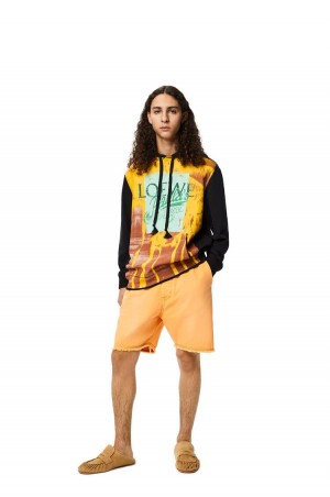 Sudaderas Loewe Palm print hoodie in cotton Hombre Negras Multicolor | 795VMDJGY