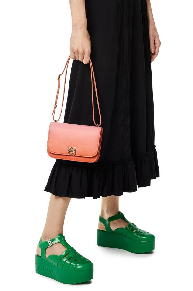 Bolsa De Hombro Loewe Small Goya bag in degrade silk calfskin Mujer Coral Oscuro | 201HGEXDY