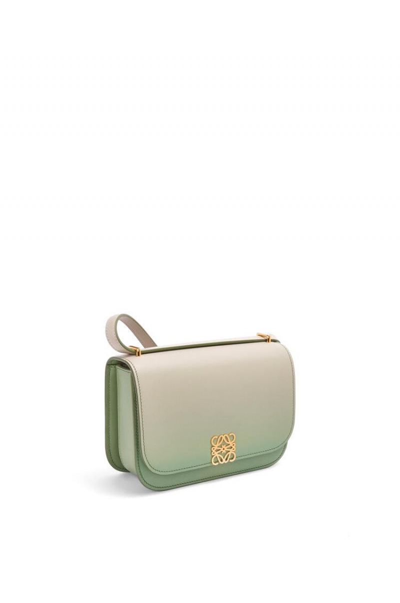 Bolsa De Hombro Loewe Small Goya bag in degrade silk calfskin Mujer Verde Menta | 145KEBRLI