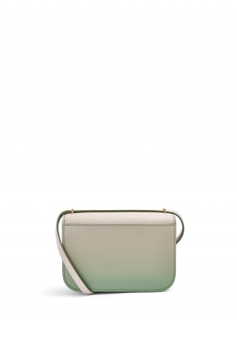 Bolsa De Hombro Loewe Small Goya bag in degrade silk calfskin Mujer Verde Menta | 145KEBRLI