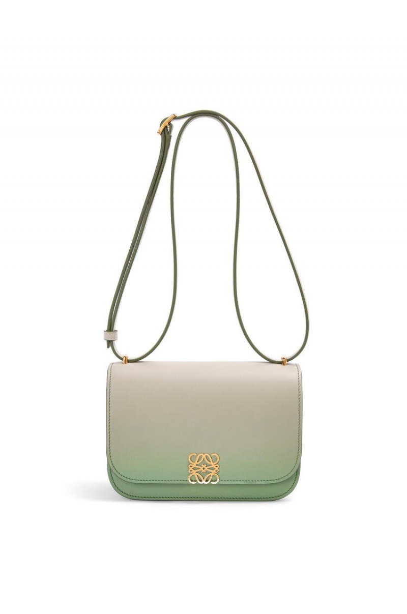 Bolsa De Hombro Loewe Small Goya bag in degrade silk calfskin Mujer Verde Menta | 145KEBRLI