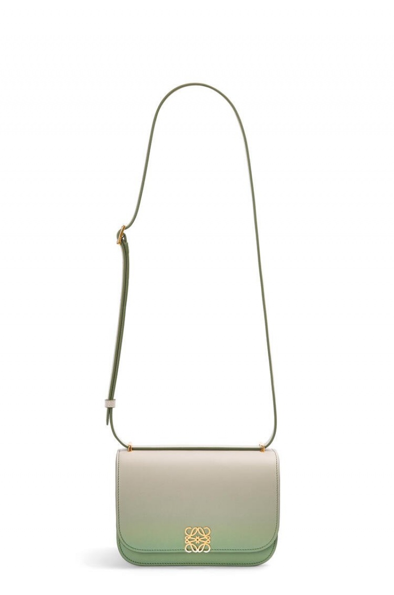 Bolsa De Hombro Loewe Small Goya bag in degrade silk calfskin Mujer Verde Menta | 145KEBRLI