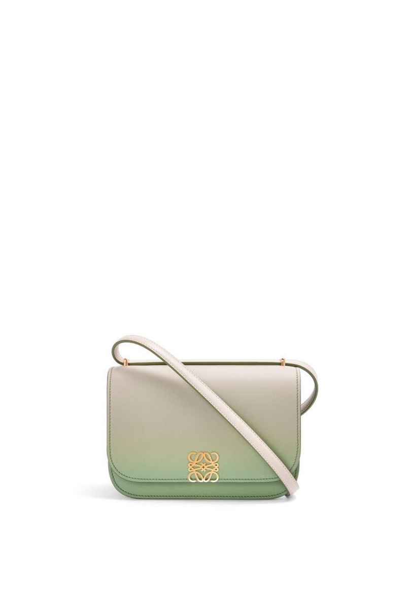 Bolsa De Hombro Loewe Small Goya bag in degrade silk calfskin Mujer Verde Menta | 145KEBRLI