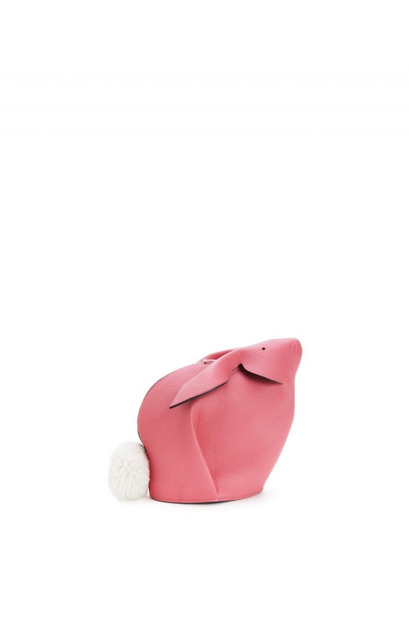 Bolsos Mini Loewe Bunny bag in calfskin and shearling Mujer New Candy | 427JIQYRW