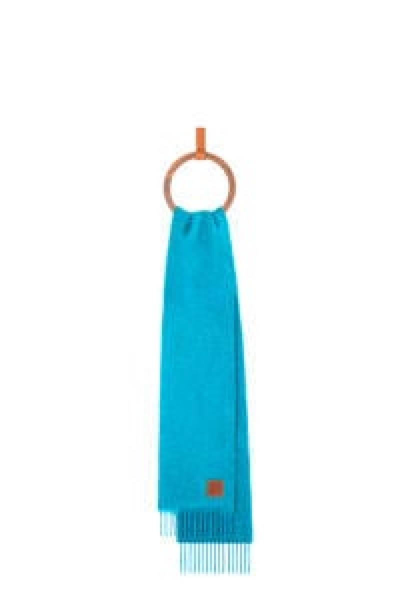 Bufandas Loewe Scarf in wool and mohair Mujer Rosas | 085JFAWOZ