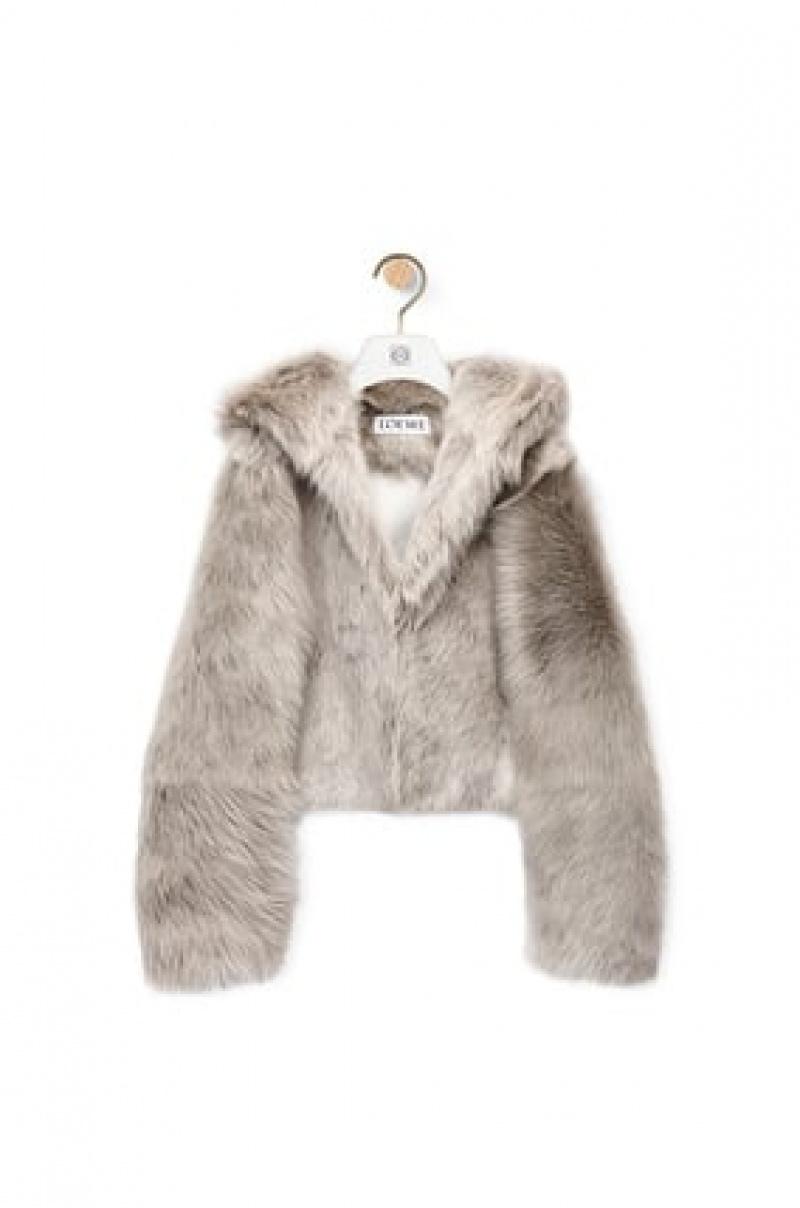 Chaquetas Loewe Encapuchado jacket in shearling Mujer Gris | 703MTWEOF