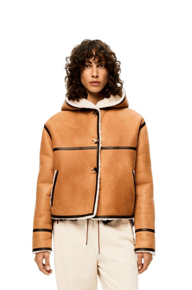 Chaquetas Loewe Encapuchado jacket in shearling Mujer Beige Marrones Oscuro | 342REWFOY