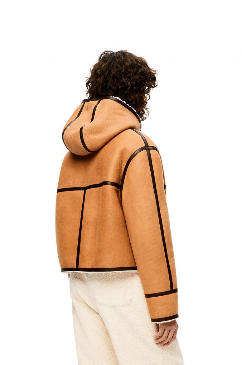 Chaquetas Loewe Encapuchado jacket in shearling Mujer Beige Marrones Oscuro | 342REWFOY