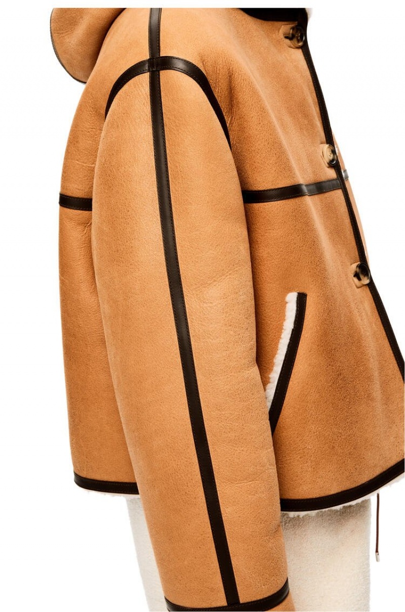 Chaquetas Loewe Encapuchado jacket in shearling Mujer Beige Marrones Oscuro | 342REWFOY