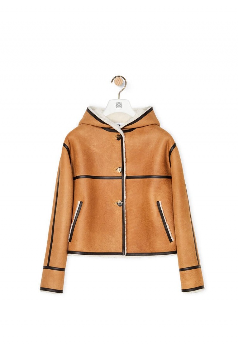 Chaquetas Loewe Encapuchado jacket in shearling Mujer Beige Marrones Oscuro | 342REWFOY