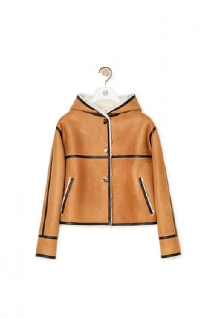 Chaquetas Loewe Encapuchado jacket in shearling Mujer Beige Marrones Oscuro | 342REWFOY