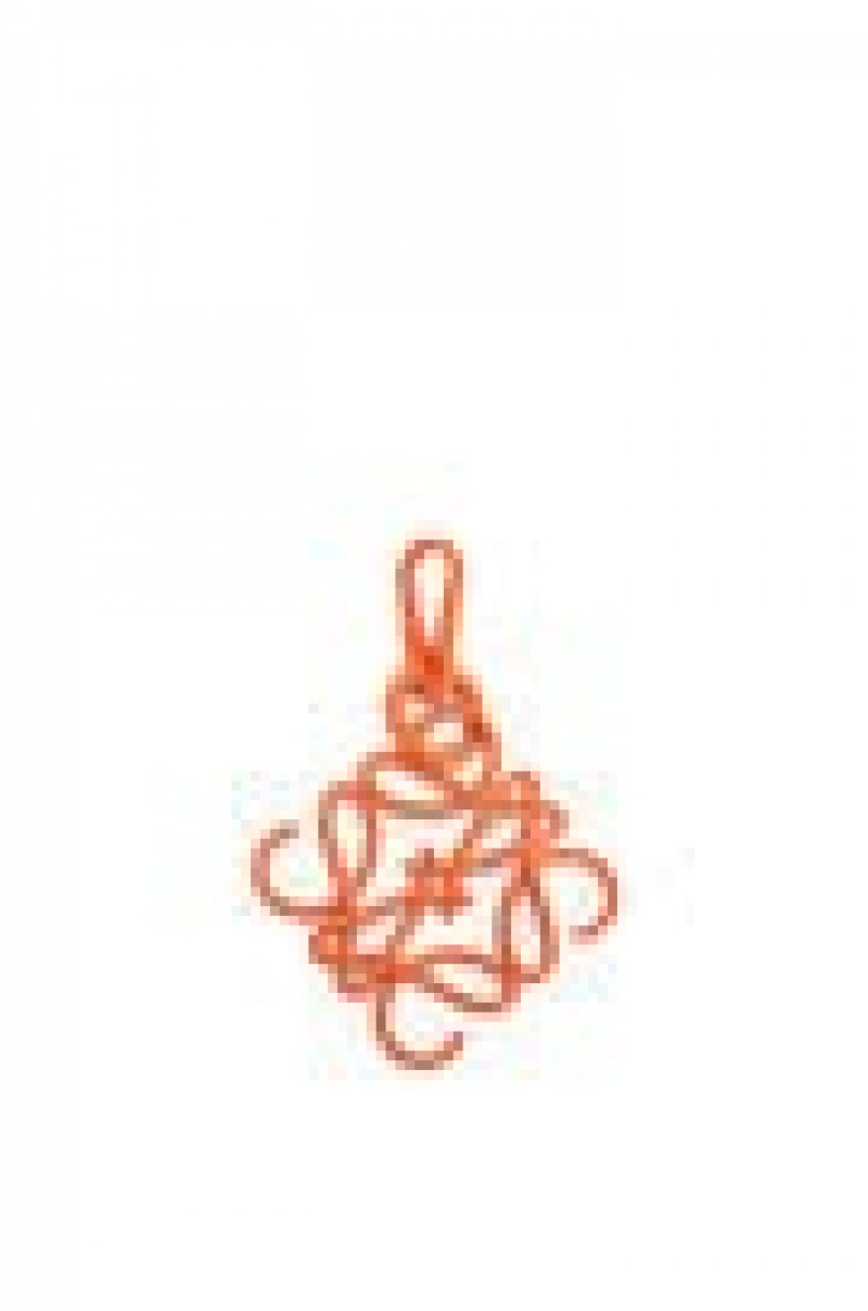 Charms Loewe Anagram charm Mujer Naranjas | 194XIZBDW