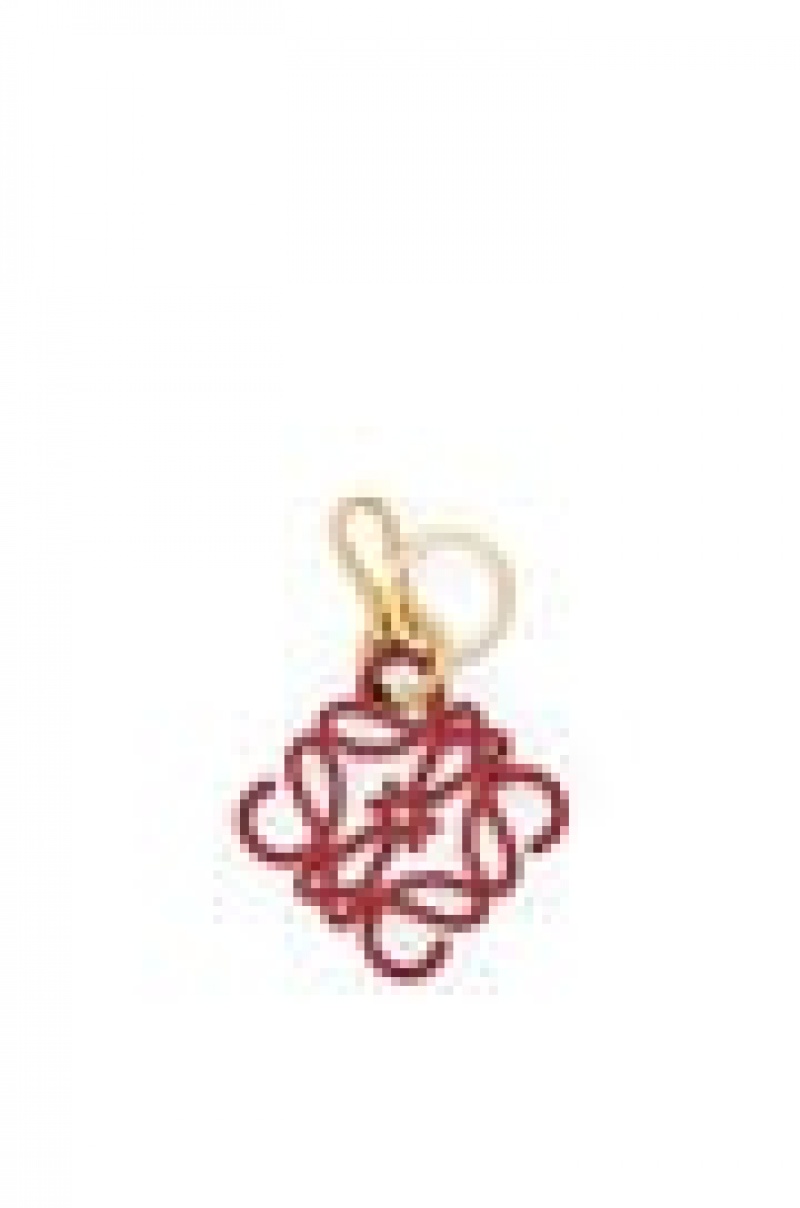 Charms Loewe Anagram charm in calfskin Mujer Rojas Doradas | 397ZIAGYV