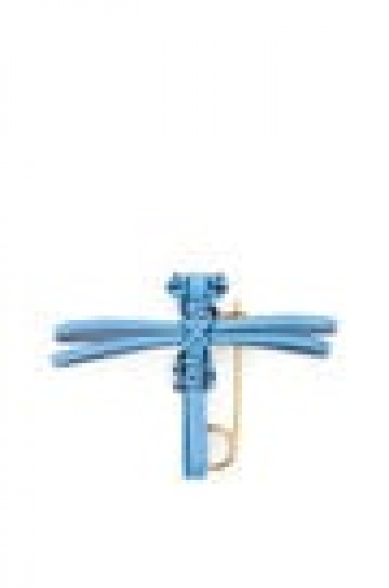 Charms Loewe Dragonfly pin charm in calfskin Mujer Azules | 306TQRBLF