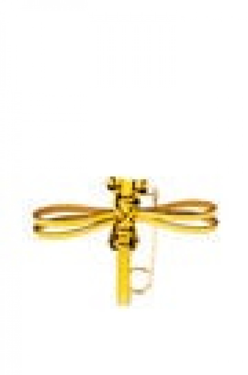 Charms Loewe Dragonfly pin charm in calfskin Mujer Amarillo | 216TJPAKD