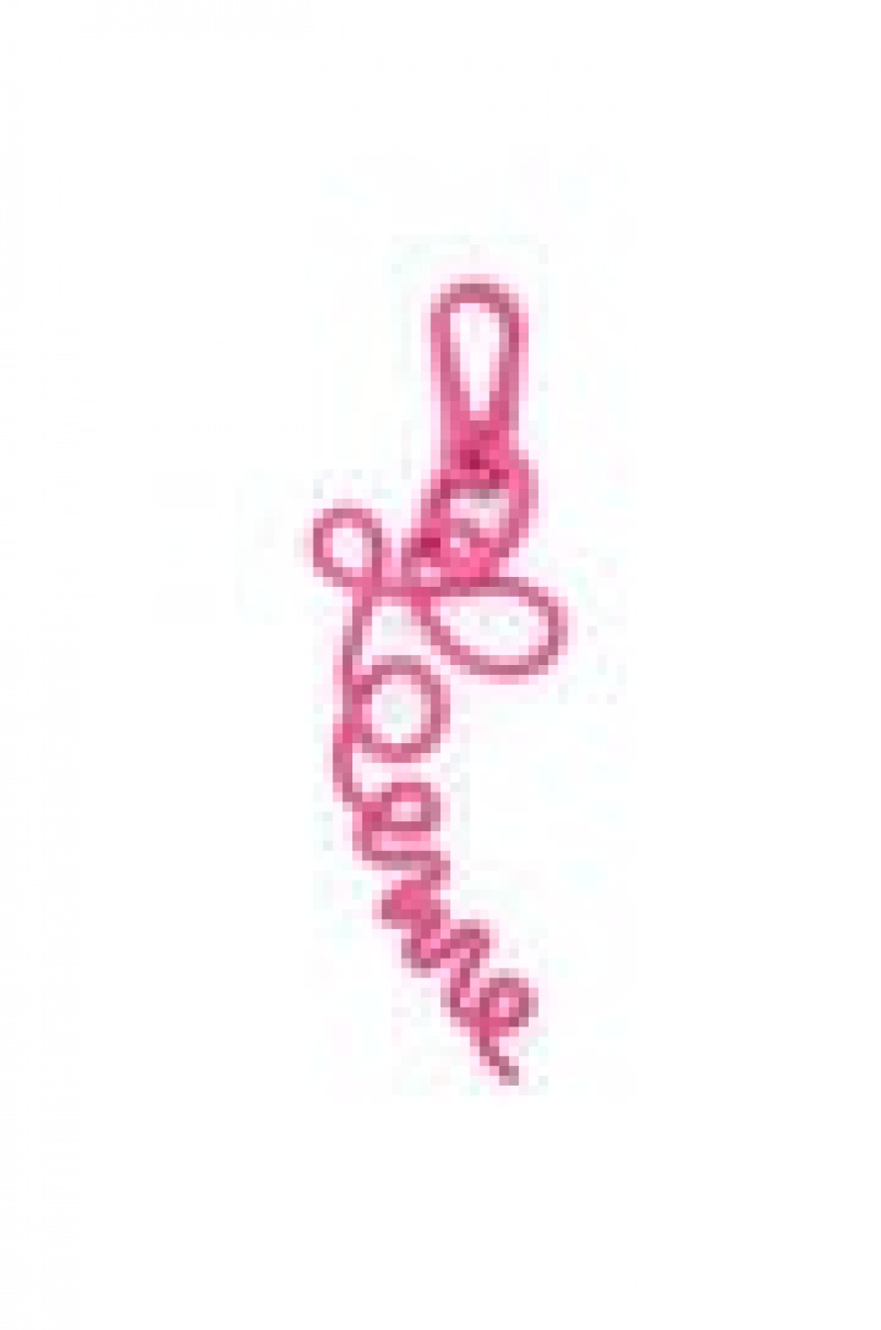 Charms Loewe Signature charm Mujer Rosas | 786MESFCK