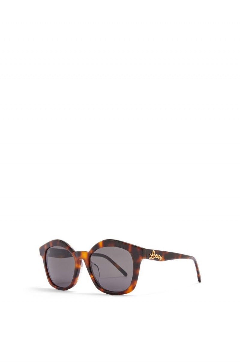 Gafas de Sol Loewe Browline sunglasses in acetate Mujer Shiny Classic Havana | 215RJBCUS