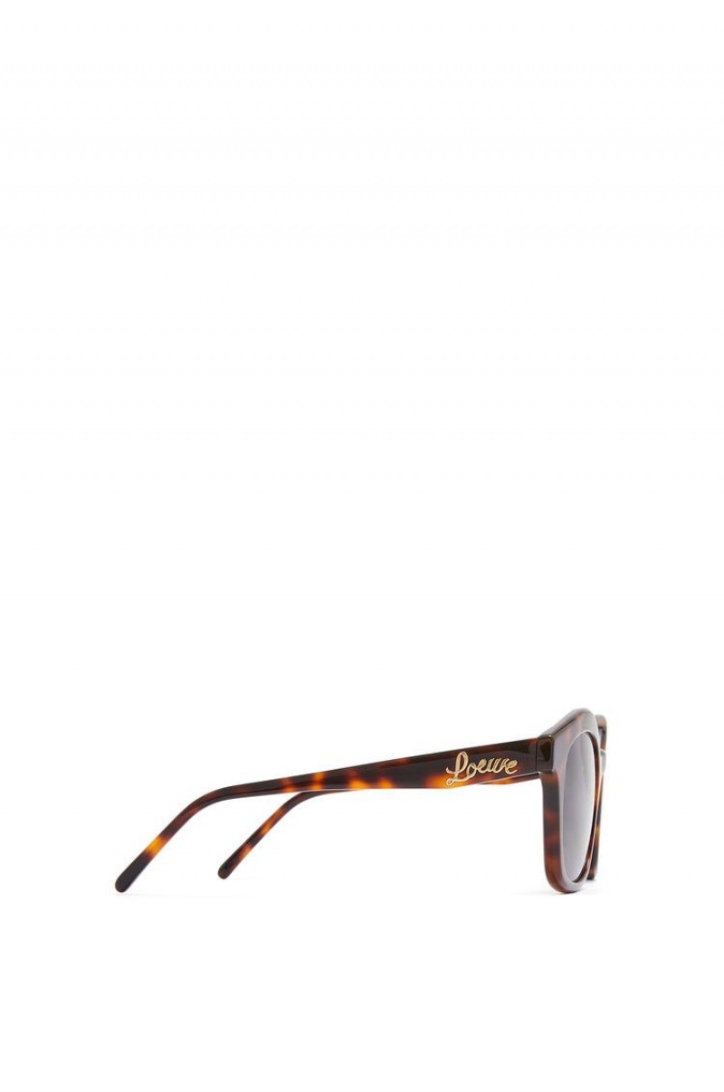 Gafas de Sol Loewe Browline sunglasses in acetate Mujer Shiny Classic Havana | 215RJBCUS