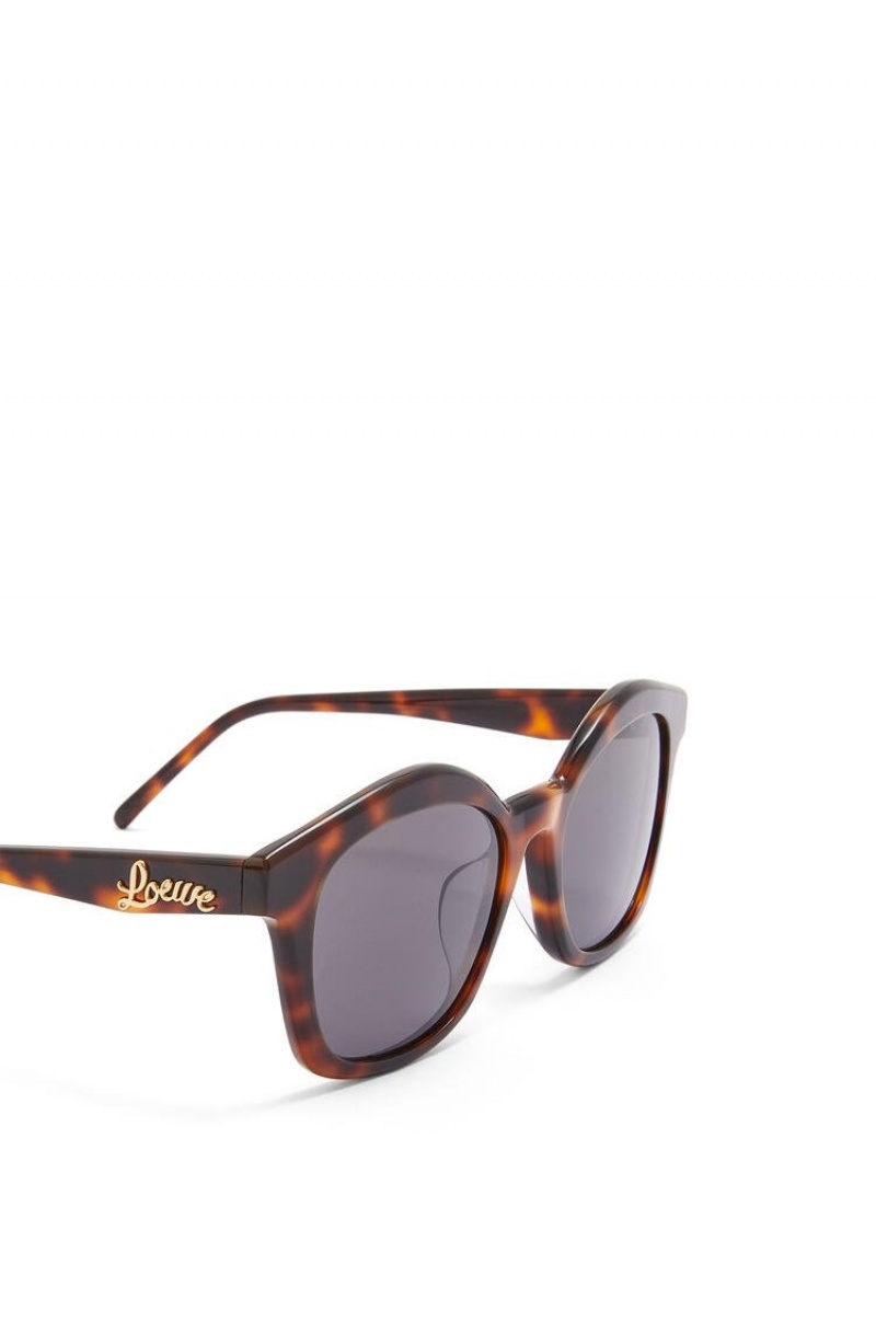 Gafas de Sol Loewe Browline sunglasses in acetate Mujer Shiny Classic Havana | 215RJBCUS