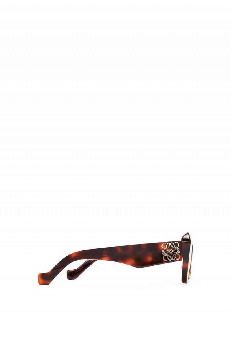 Gafas de Sol Loewe Cat's eye sunglasses Mujer Marrones | 968FWULIX