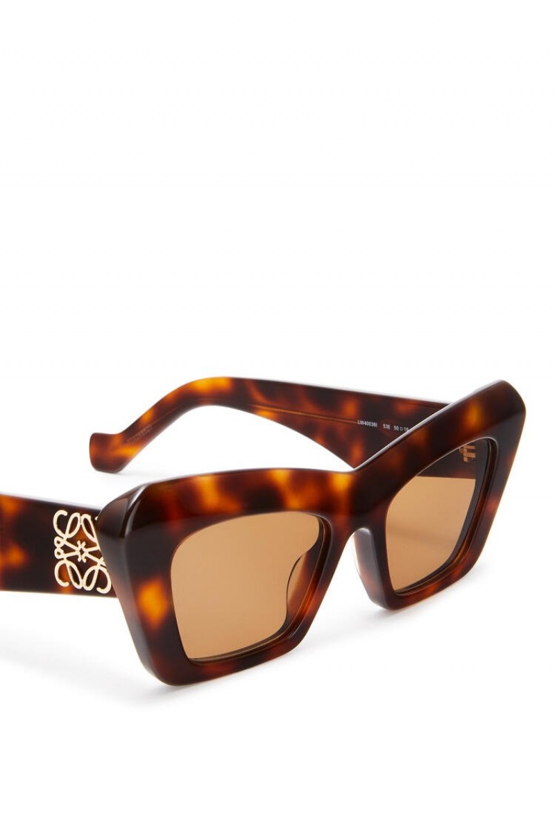 Gafas de Sol Loewe Cat's eye sunglasses Mujer Marrones | 968FWULIX