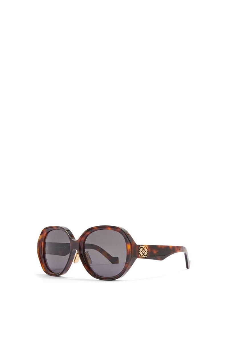 Gafas de Sol Loewe Elipse sunglasses in acetate Mujer Shiny Classic Havana | 497GEZIMV