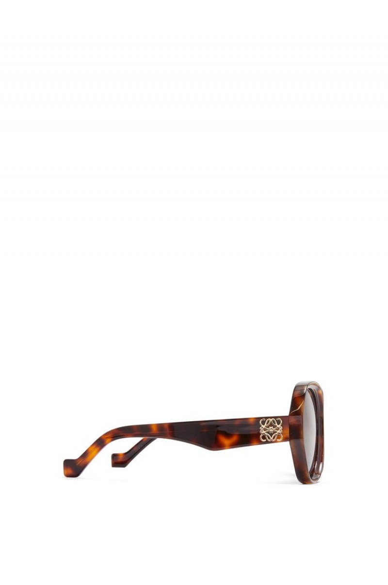 Gafas de Sol Loewe Elipse sunglasses in acetate Mujer Shiny Classic Havana | 497GEZIMV