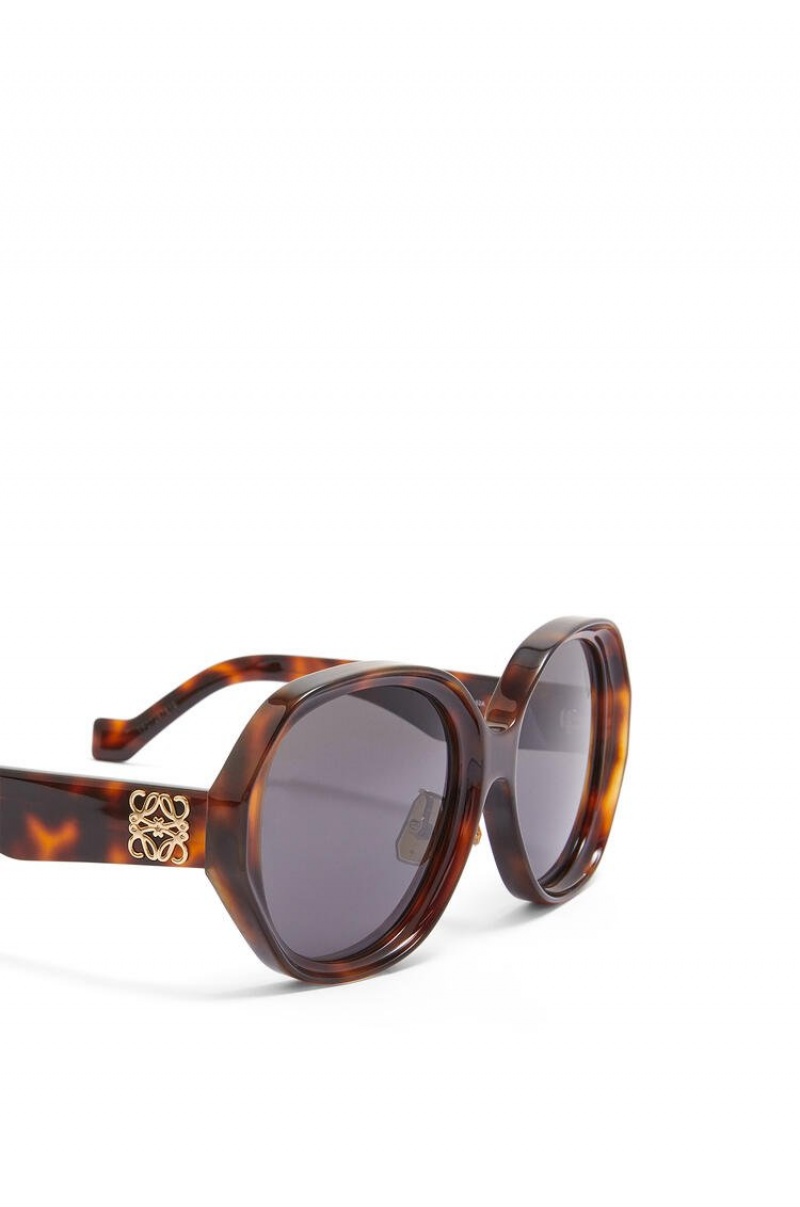 Gafas de Sol Loewe Elipse sunglasses in acetate Mujer Shiny Classic Havana | 497GEZIMV