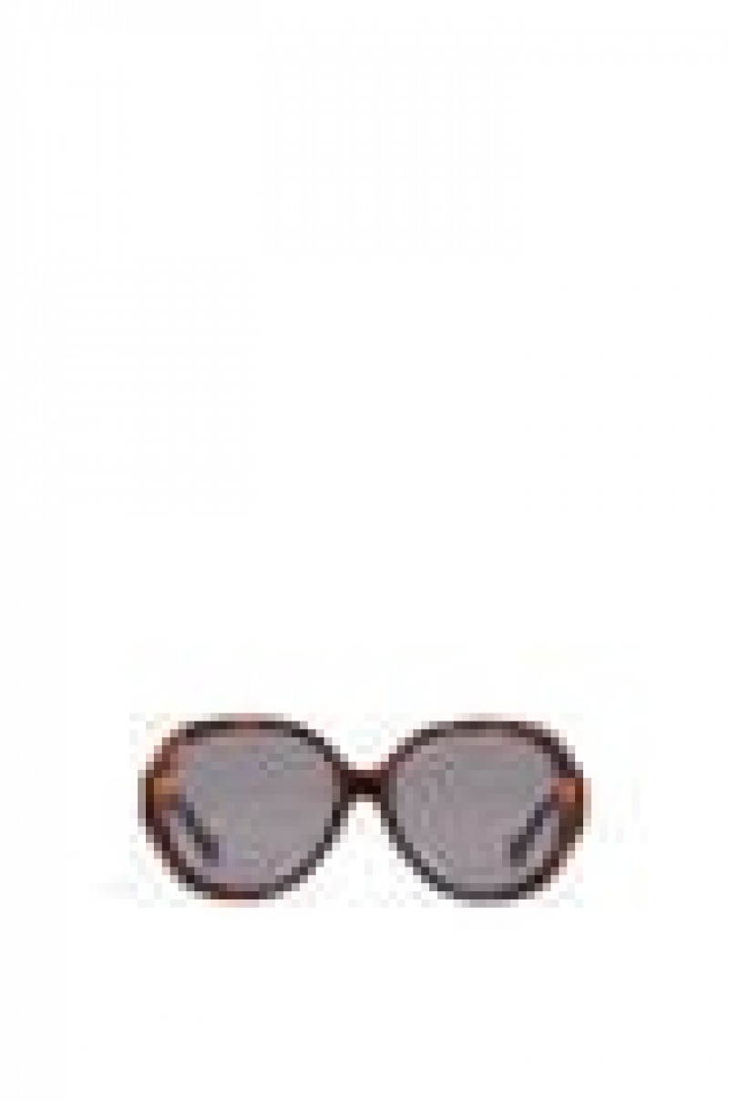 Gafas de Sol Loewe Elipse sunglasses in acetate Mujer Shiny Classic Havana | 497GEZIMV