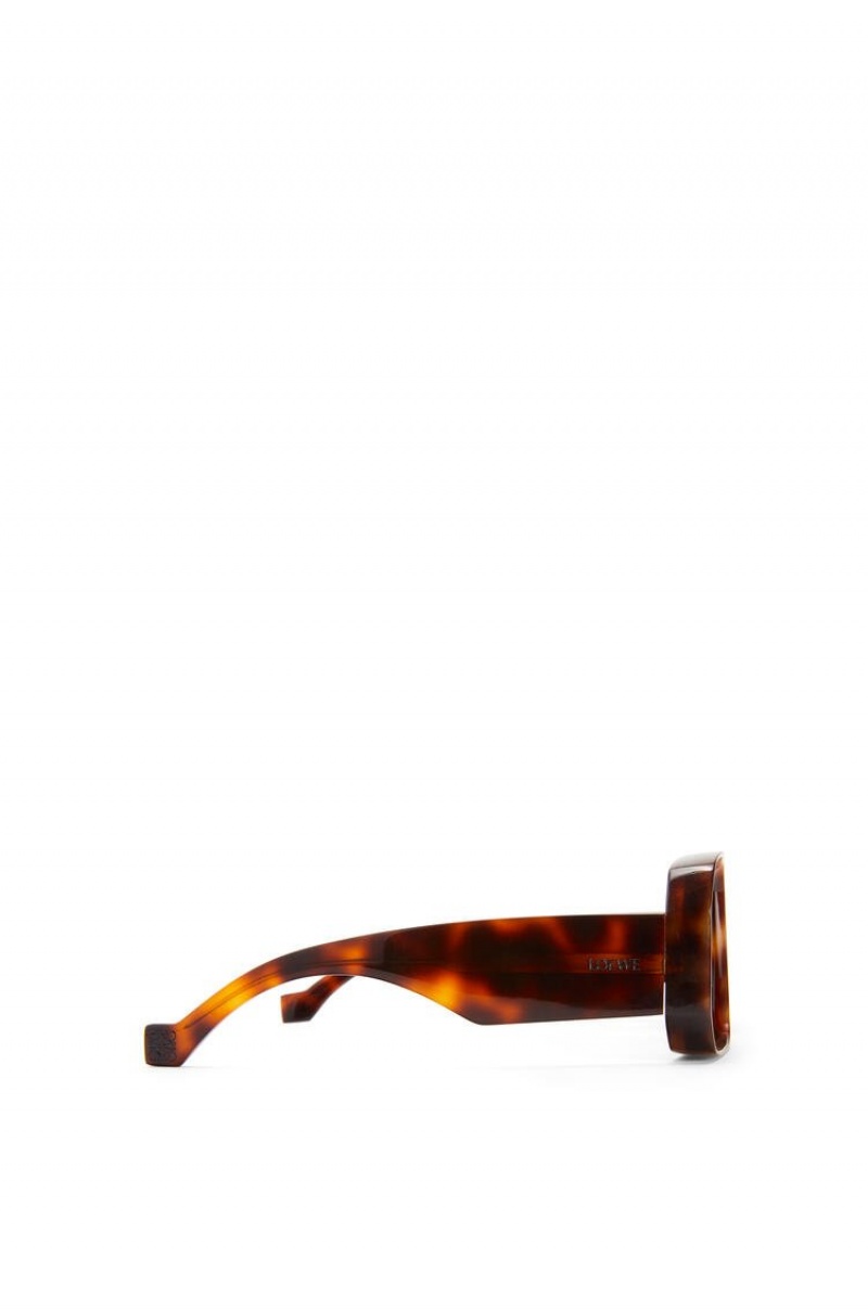 Gafas de Sol Loewe Paula's Ibiza dive in mask sunglasses Hombre Shiny Classic Havana | 764FEWNAS