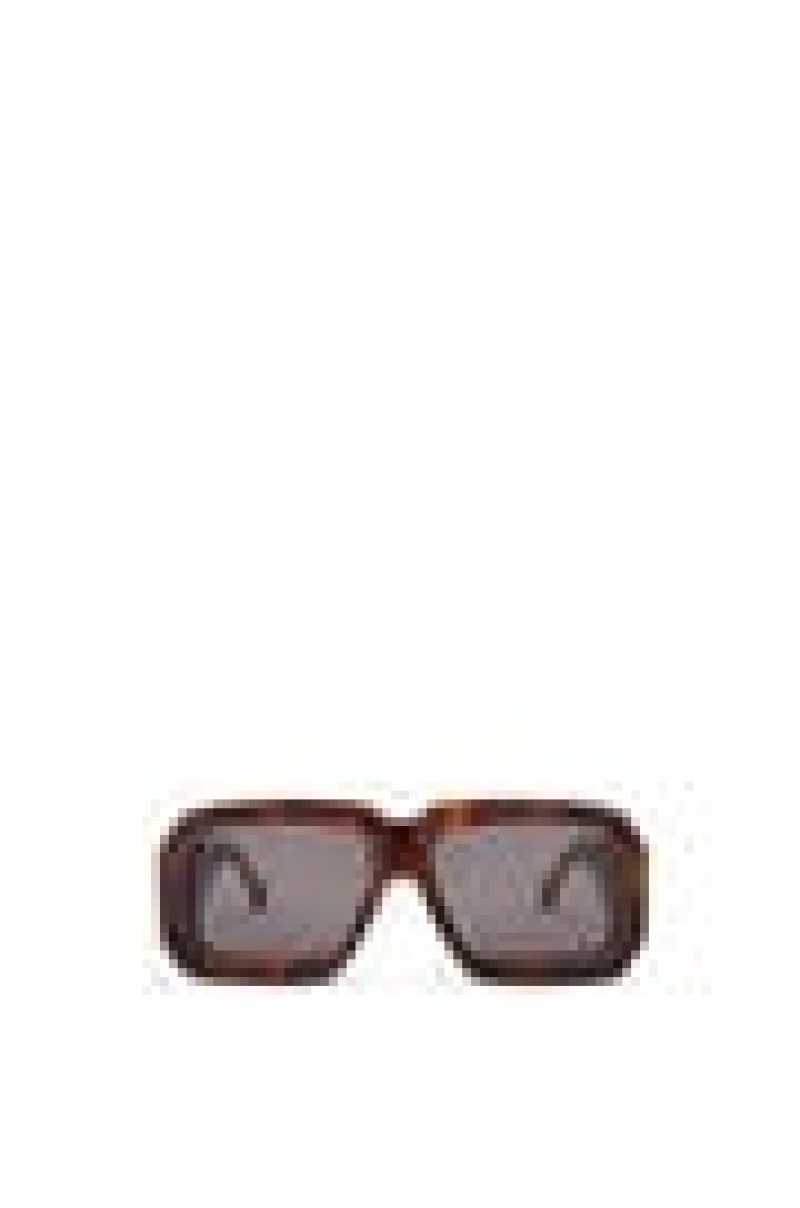 Gafas de Sol Loewe Paula's Ibiza dive in mask sunglasses Hombre Shiny Classic Havana | 764FEWNAS