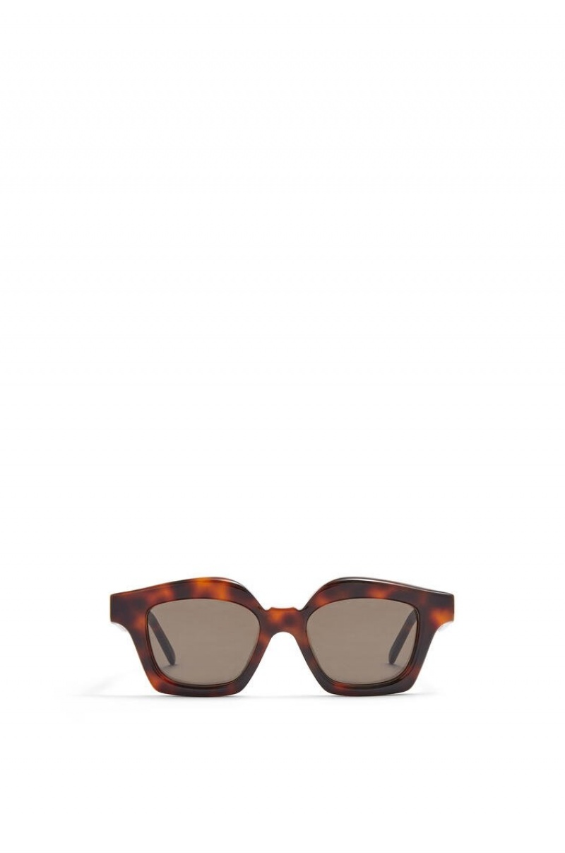 Gafas de Sol Loewe Small browline sunglasses in acetate Mujer Shiny Classic Havana | 438PJELRK