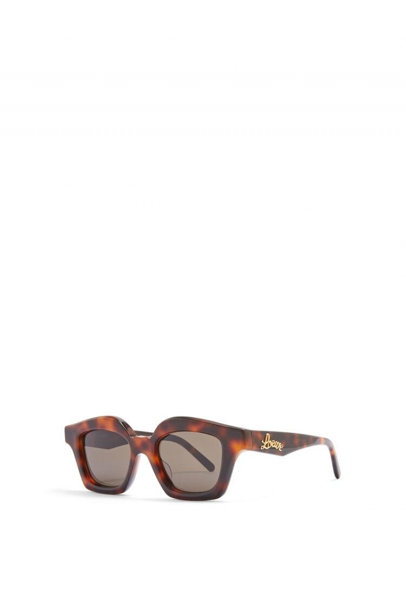 Gafas de Sol Loewe Small browline sunglasses in acetate Mujer Shiny Classic Havana | 438PJELRK