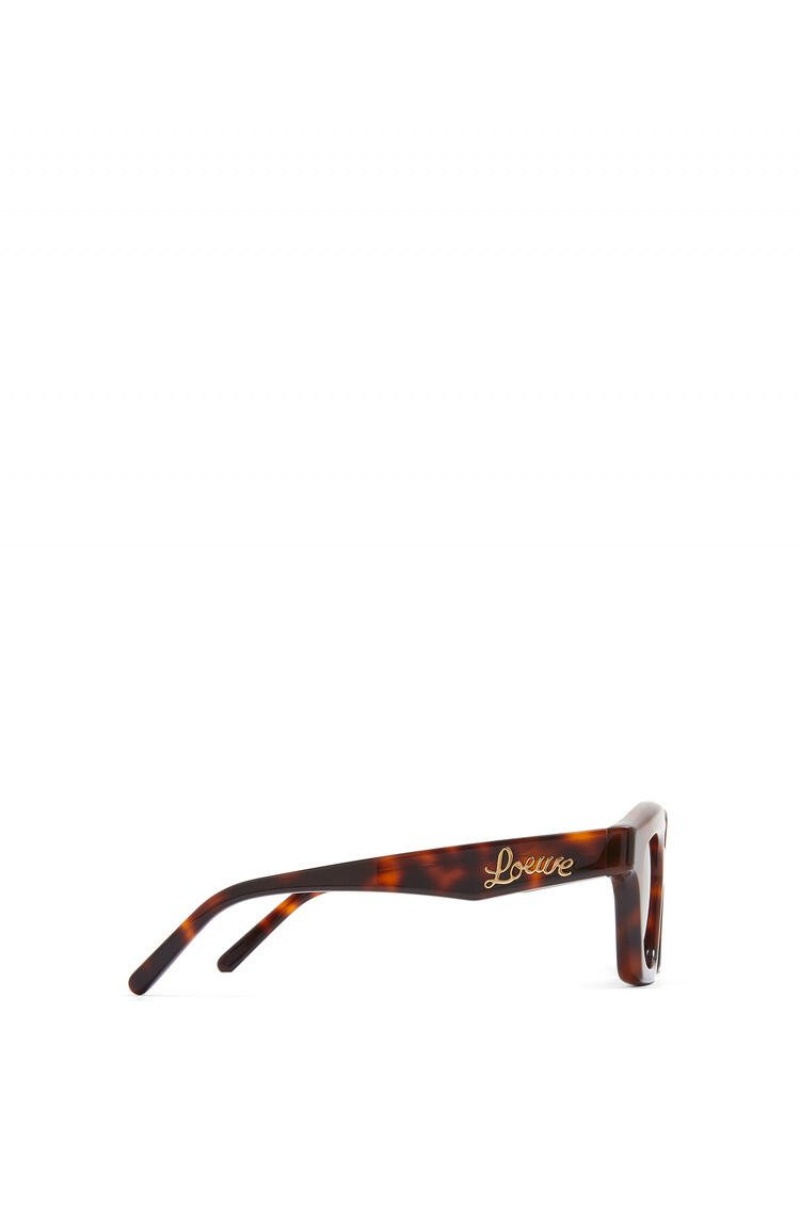 Gafas de Sol Loewe Small browline sunglasses in acetate Mujer Shiny Classic Havana | 438PJELRK