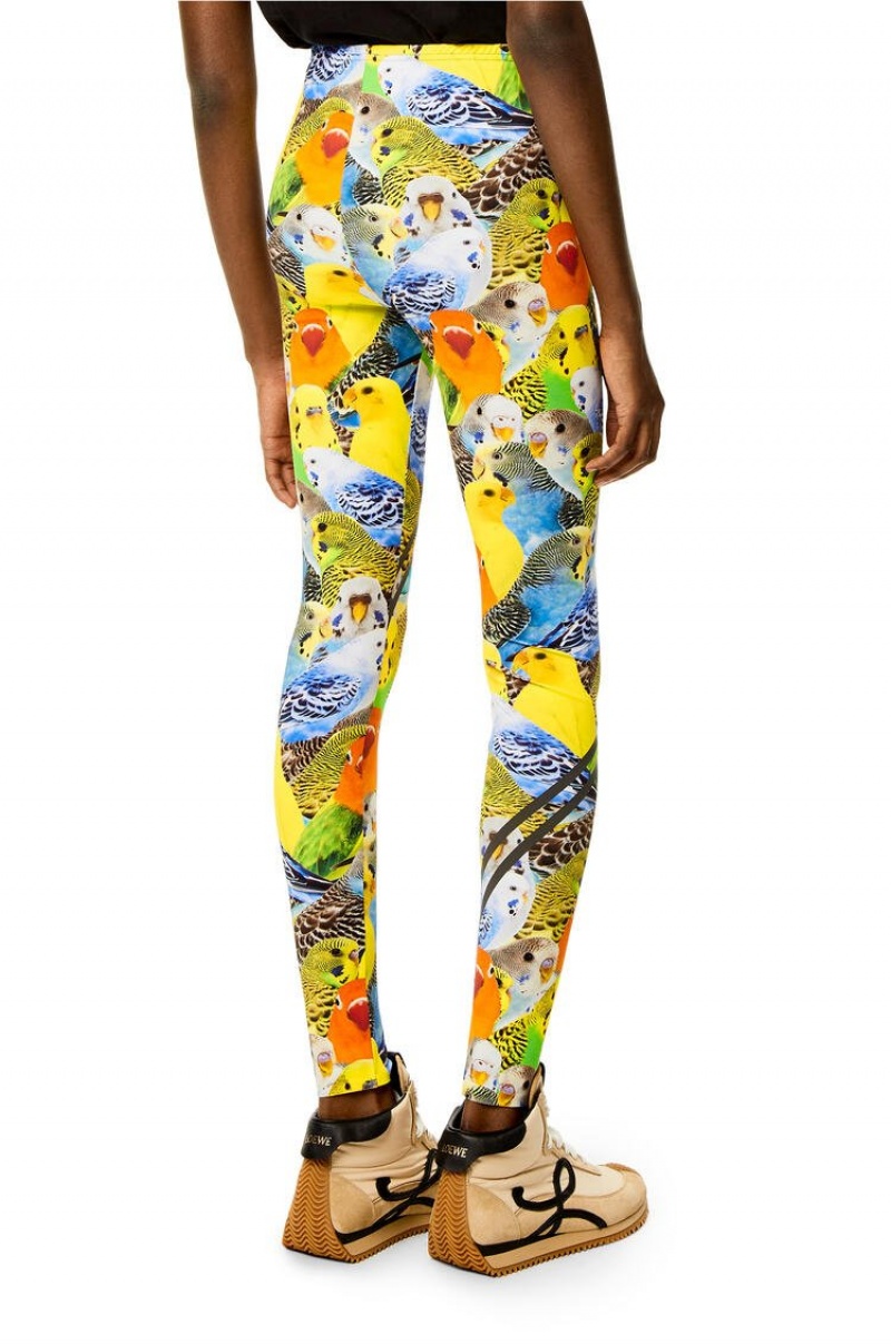 Leggins Loewe Parrots leggings in polyamide Mujer Naranjas Azules Amarillo | 930ZGLDIV