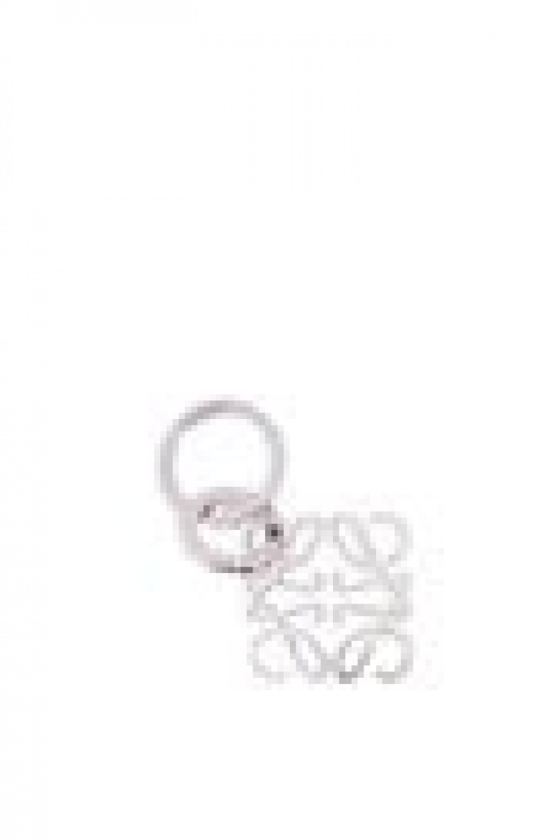 Llavero Loewe Anagram keyring Mujer Palladium | 054HSMNRL