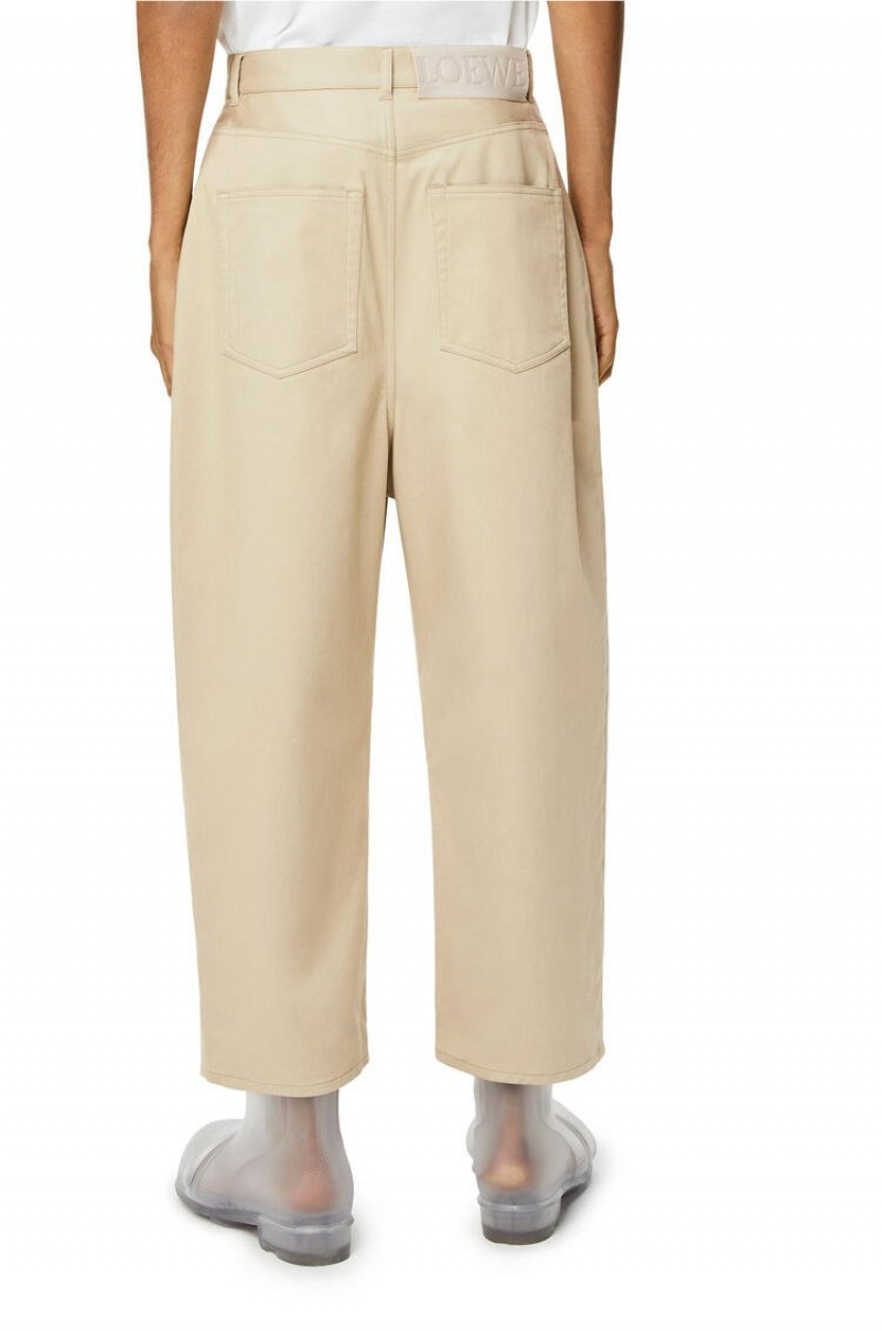 Pantalones Loewe Single pleat trousers in cotton Hombre Gris | 061UJHKOT