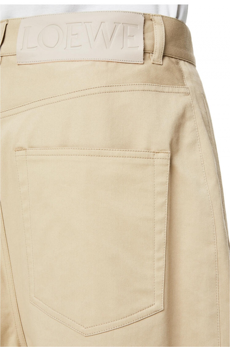 Pantalones Loewe Single pleat trousers in cotton Hombre Gris | 061UJHKOT