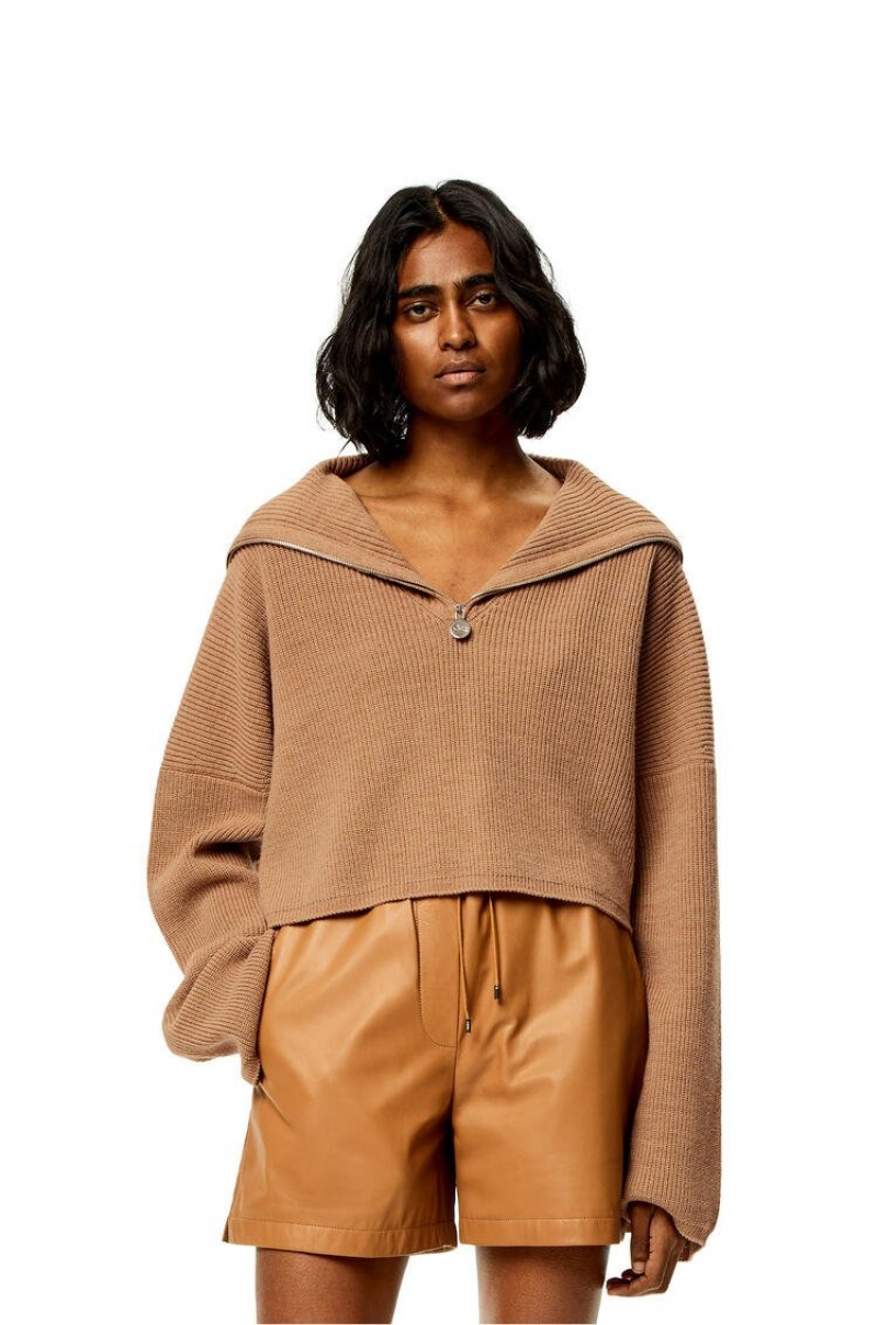 Prendas De Punto Loewe Zip-up sweater in wool Mujer Beige | 417RCHDVI