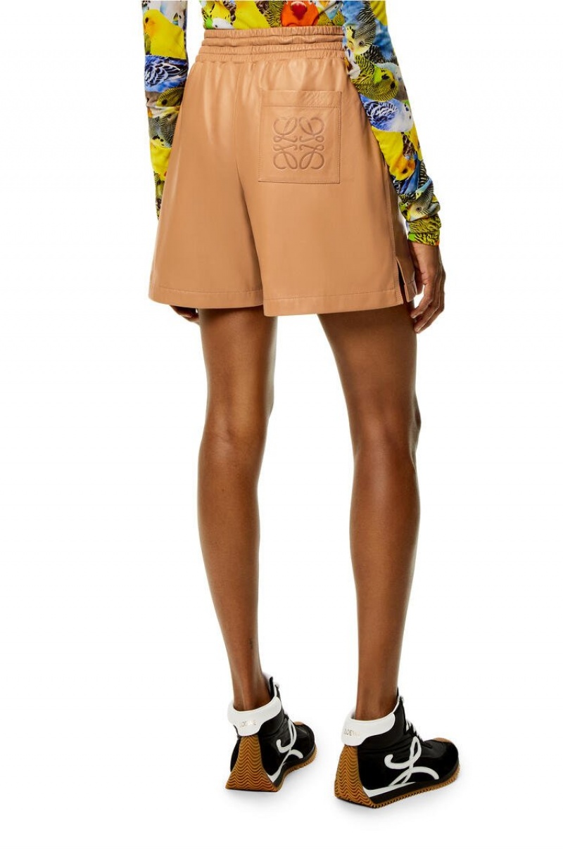 Short Loewe Shorts in nappa Mujer Toffee | 847IKJEQO