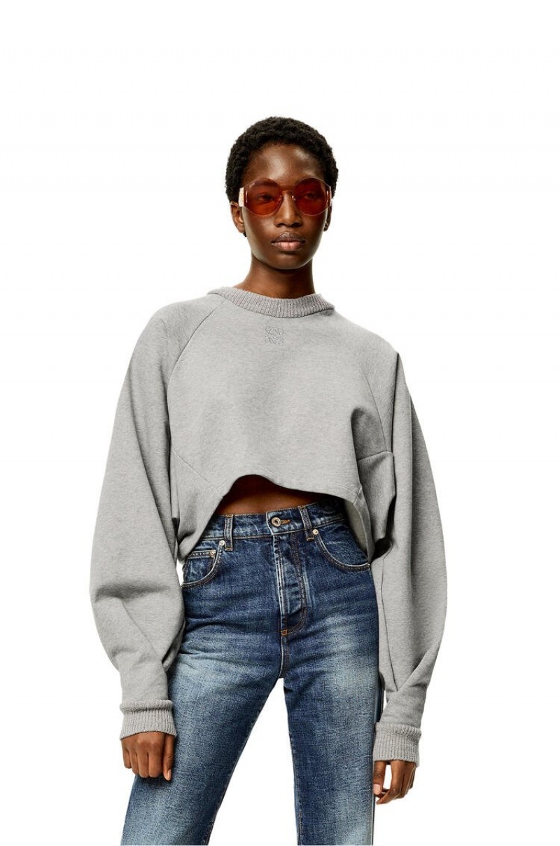 Sudaderas Loewe Anagram cropped sweatshirt in cotton Mujer Gris | 074PSKGCX