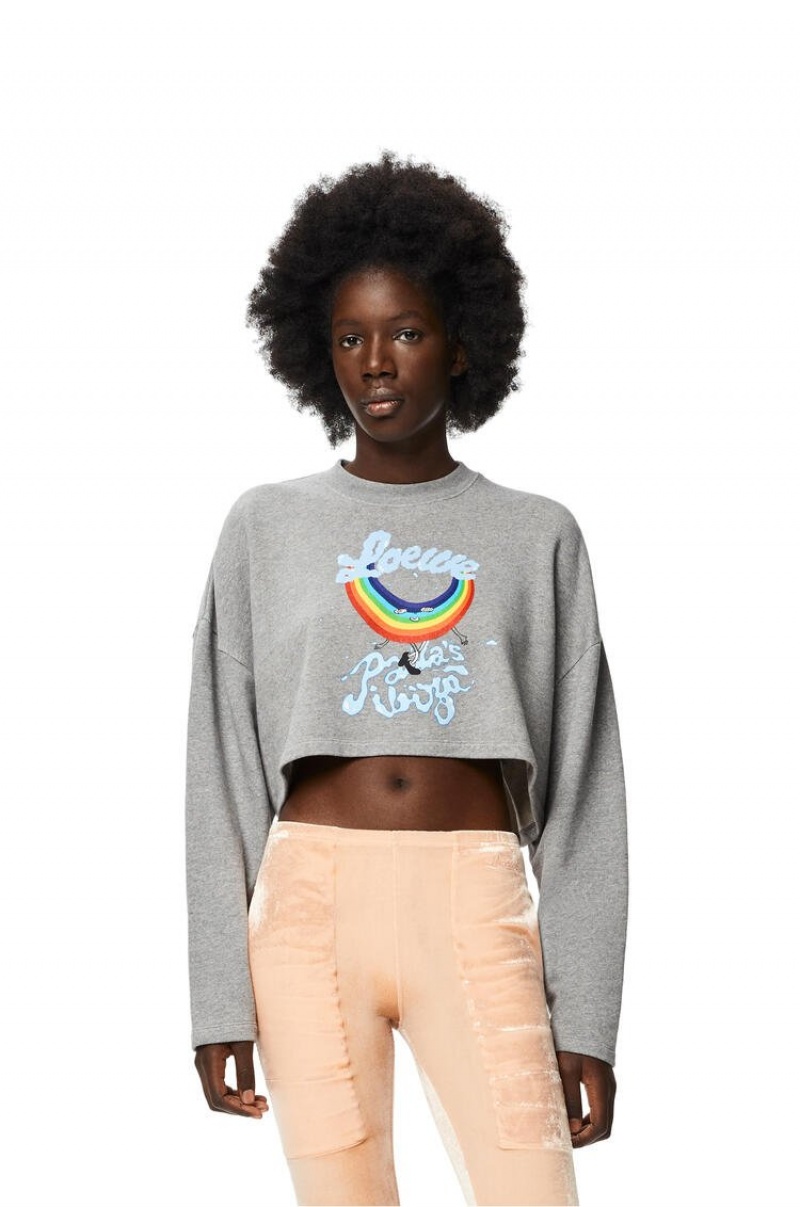 Sudaderas Loewe Rainbow cropped sweatshirt in cotton Mujer Gris | 145WZHIDA